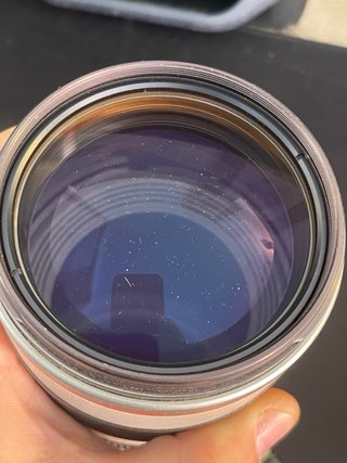 Canon EF 35-350mm f/3.5-5.6 L USM