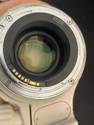 Canon EF 35-350mm f/3.5-5.6 L USM