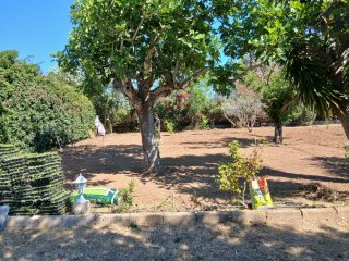 Attrezzi da giardinaggio