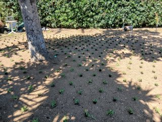 Attrezzi da giardinaggio