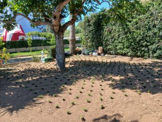 Attrezzi da giardinaggio