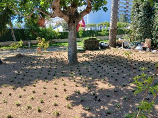 Attrezzi da giardinaggio