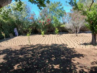 Attrezzi da giardinaggio