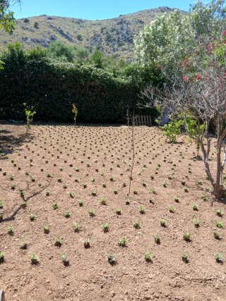 Attrezzi da giardinaggio