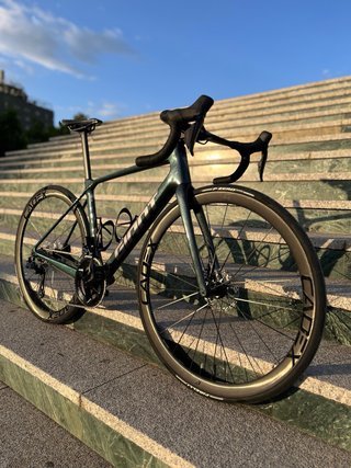 Giant TCR 2025