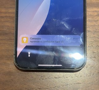iPhone 12 Pro 256GB Grafito