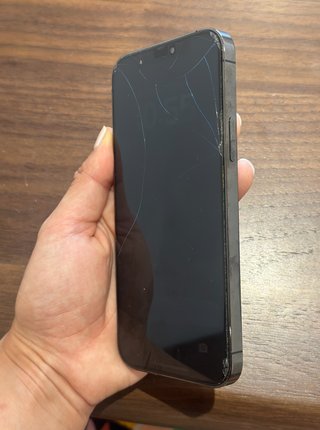 iPhone 12 Pro 256GB Grafito