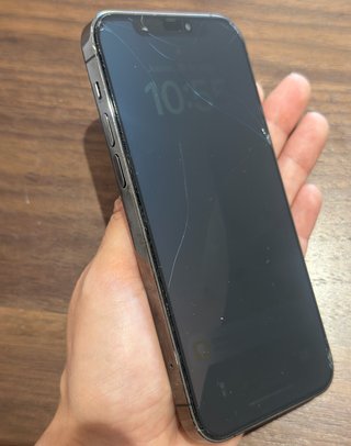 iPhone 12 Pro 256GB Grafito