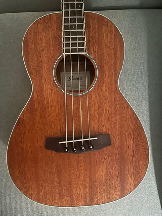 Bajo Acústico Ibanez (PNB14-E-OP)