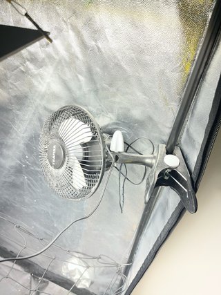 Kit Armario Cultivo TRAFIKA