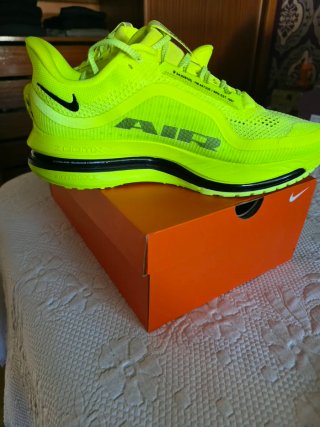 Nike Pegasus Premium