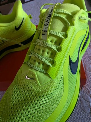 Nike Pegasus Premium