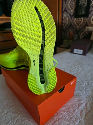 Nike Pegasus Premium