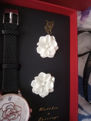 Conjunto Reloj y Pendientes Lucky Fox