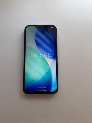 iPhone 13 Pro Max Apple