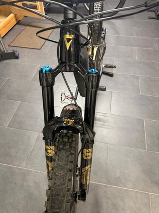Giant Reign Talla S Carbono año 2026
