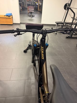 Giant Reign Talla S Carbono año 2026