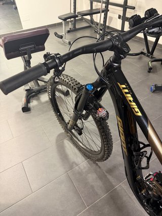 Giant Reign Talla S Carbono año 2026