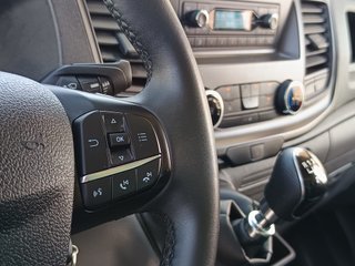 Ford Transit 2.0 CHASIS CAJA CERRADA PAQUETERO 130