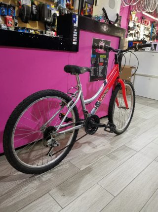 Bicicleta Glober Trotter 24"