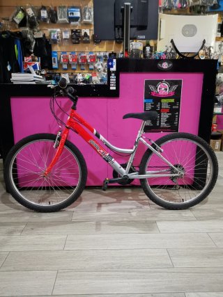 Bicicleta Glober Trotter 24"