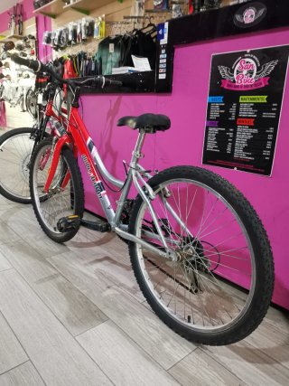 Bicicleta Glober Trotter 24"