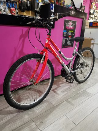 Bicicleta Glober Trotter 24"