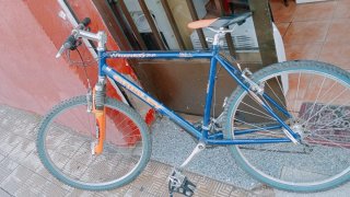 Bicicleta Grisley Wilderness Sport