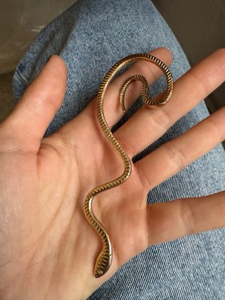 Pendiente serpiente dorado con brillantes