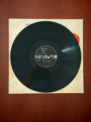 Toni Childs – Union (Vinilo LP, 1988) Original