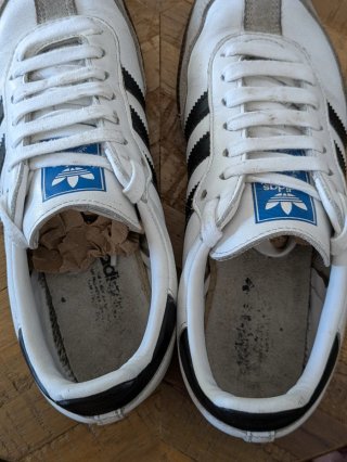 Adidas Samba Branco Cinza