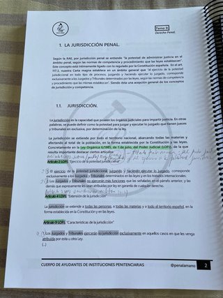 Ayudantes iipp Derecho Penal
