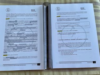 Ayudantes iipp Derecho Penal