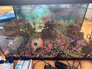 Acuario Marina LED 10G (38 L)