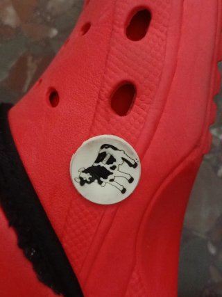 Zuecos rojos estilo Crocs rojo con forro calentito