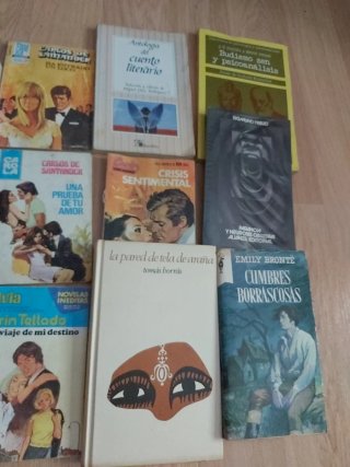 Lote de libros variados