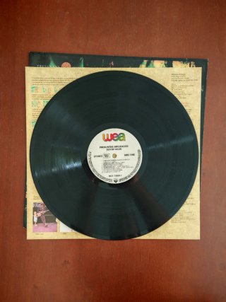 Vinilo LP Presuntos Implicados - Ser de agua