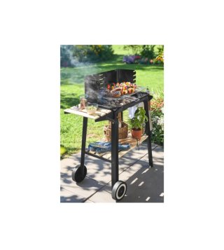 Barbacoa de carbón metálica