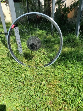 Rueda Trasera Gurpil DPX cassete sunrace 11v.