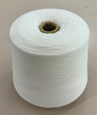 Filato Tollegno 100% Lana Merino 2/30 Naturale
