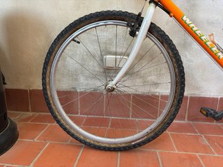 Bicicleta Wheeler Pro Line 2000 Vintage