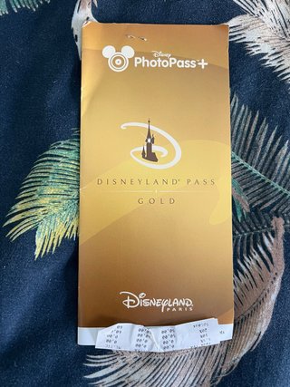 Photopass Disneyland Paris