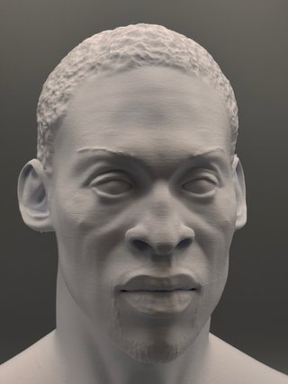 Busto Dennis Rodman Chicago Bulls 25 cm
