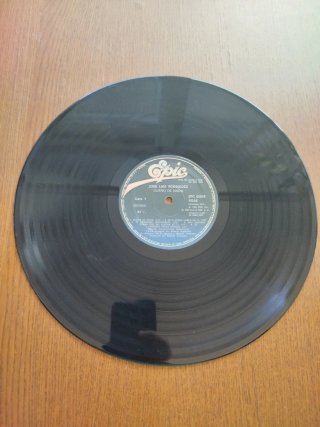 Vinilo 'Dueño de Nada' de 'El Puma'