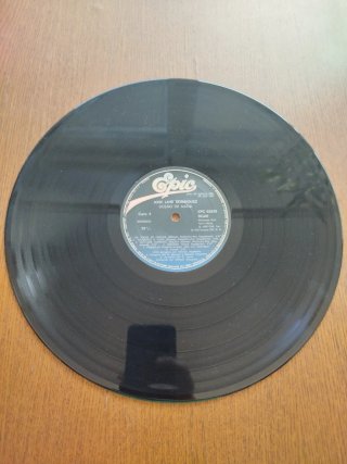Vinilo 'Dueño de Nada' de 'El Puma'