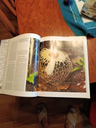 Historia Natural y Razas Humanas