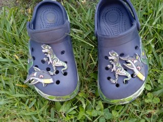 Crocs Talla 29 Dinosaurios