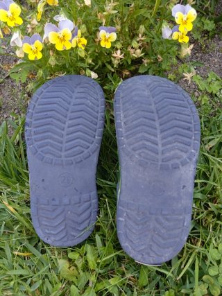 Crocs Talla 29 Dinosaurios