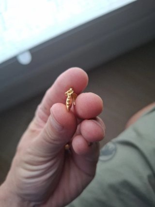 Pendientes de oro