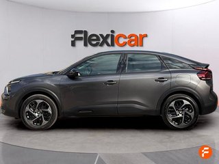 Citroën C4 BlueHDi 130 S&S EAT8 Business Edition